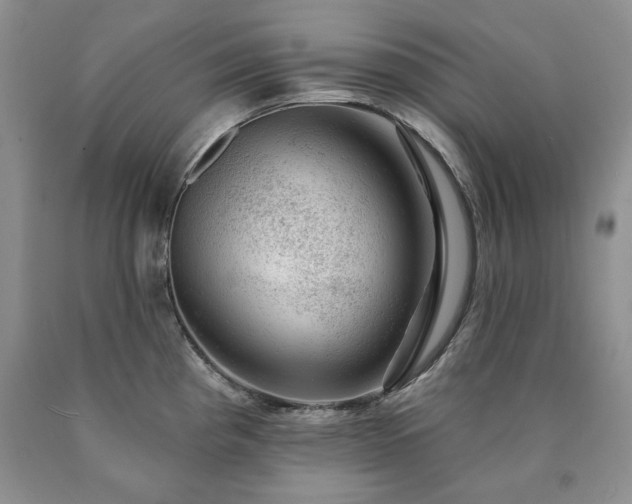 X0000090441193200707201247