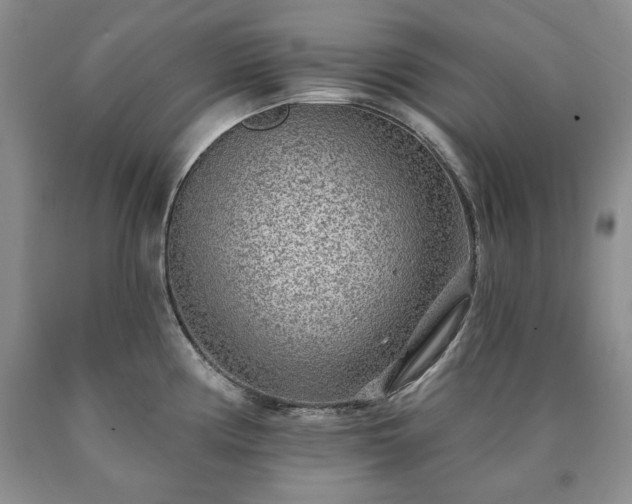 X0000090441194200707201247