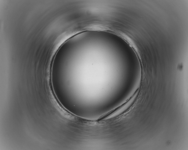 X0000090441195200707201247