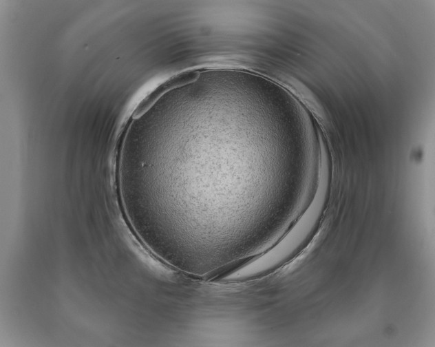 X0000090441196200707201247