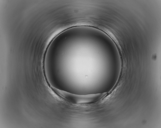 X0000090441197200707201247