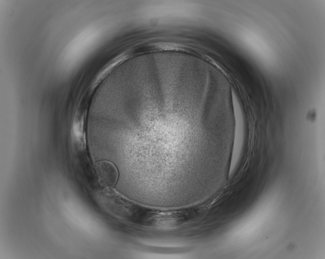 X0000090441198200707201247