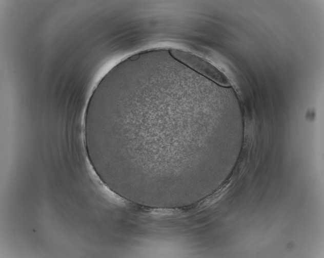 X0000090441199200707201247