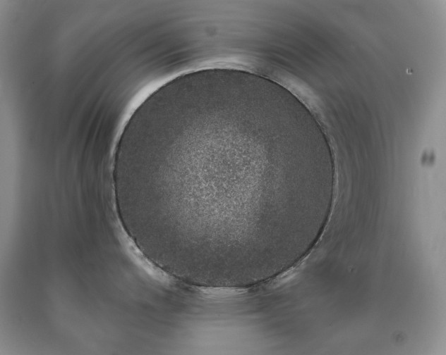 X0000090441200200707201247