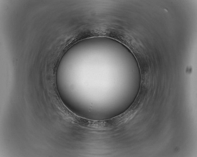 X0000090441201200707201246