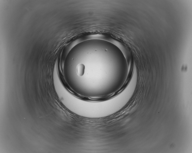 X0000090441202200707201246