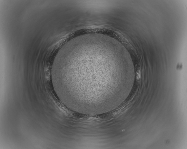 X0000090441204200707201246