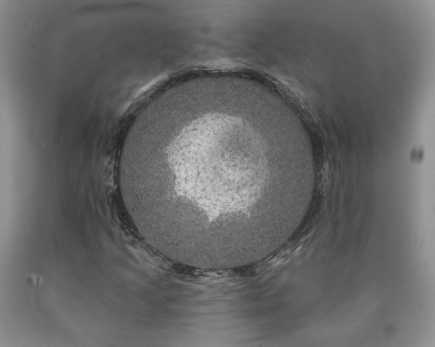 X0000090441205200707201246