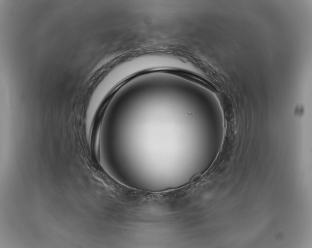 X0000090441206200707201246