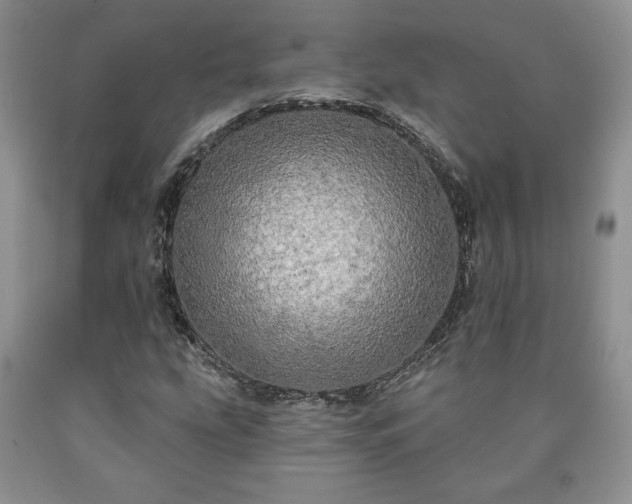 X0000090441207200707201246