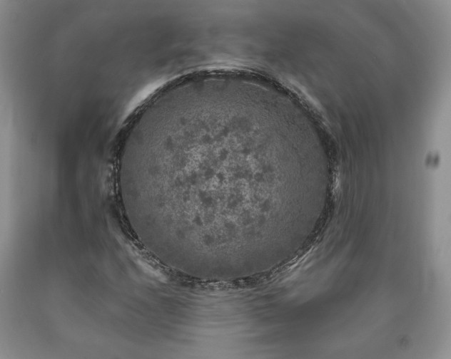 X0000090441208200707201246