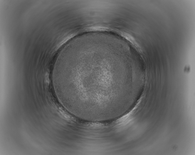 X0000090441209200707201246