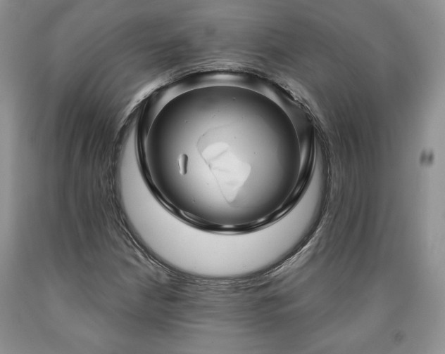 X0000090441210200707201246