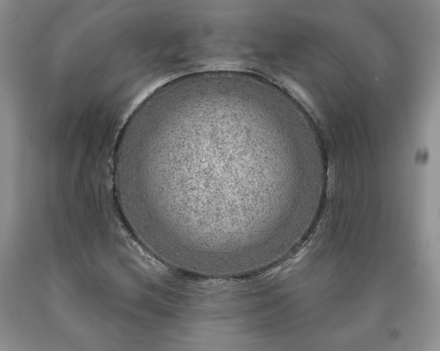 X0000090441212200707201246