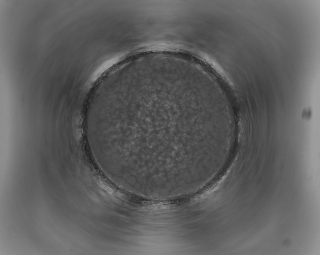 X0000090441213200707201246