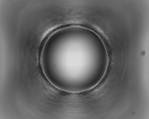 X0000090441214200707201246