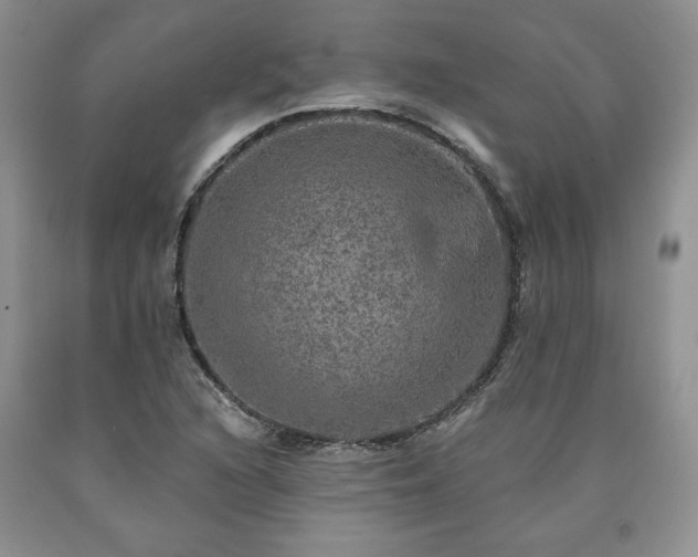 X0000090441216200707201246