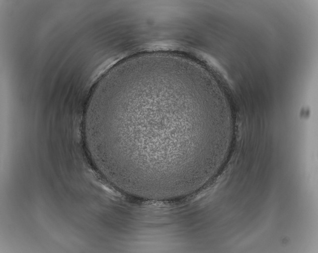 X0000090441217200707201246