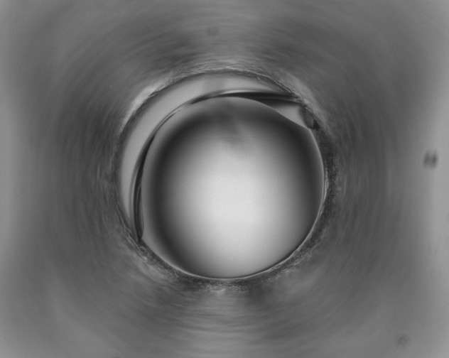 X0000090441218200707201246