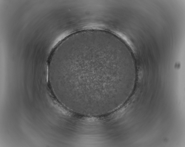 X0000090441219200707201246