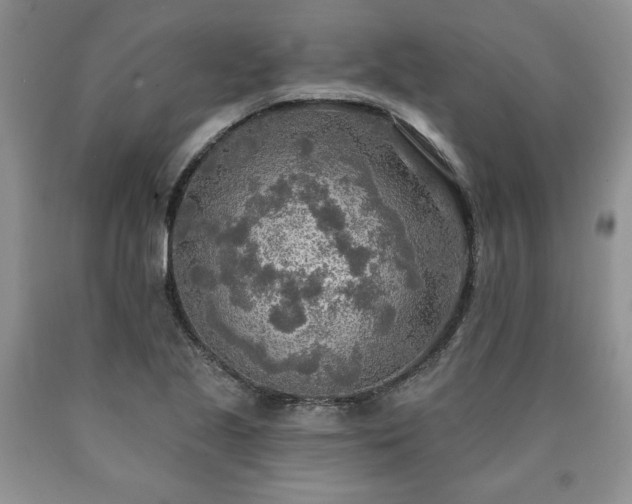 X0000090441221200707201246