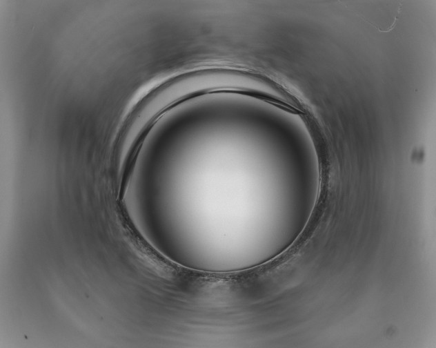 X0000090441222200707201246