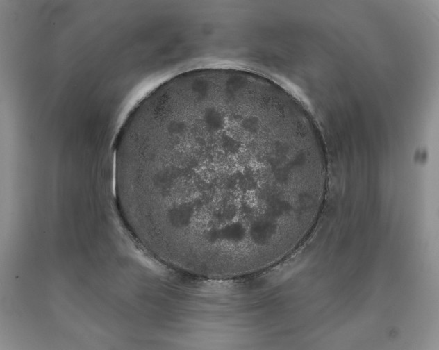 X0000090441223200707201246