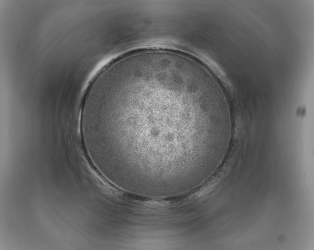 X0000090441224200707201246