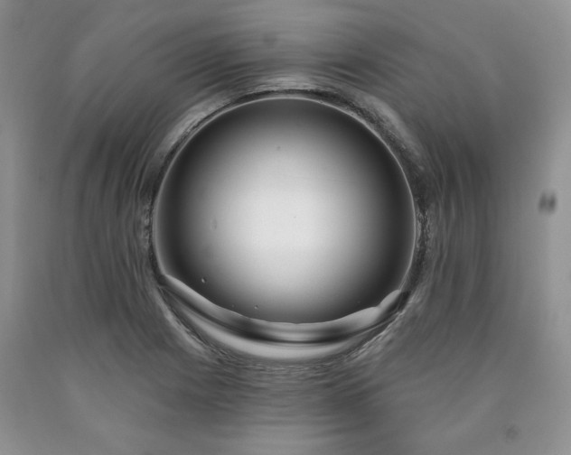 X0000090441225200707201246