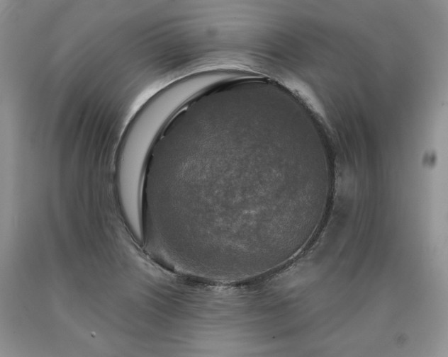 X0000090441226200707201246