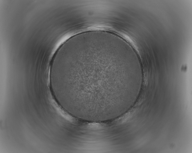 X0000090441227200707201246