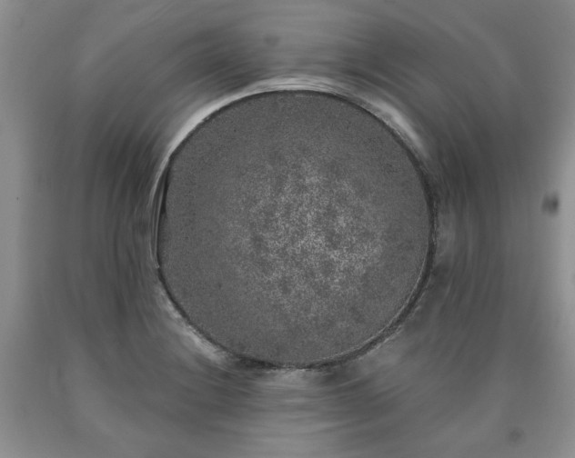 X0000090441228200707201246