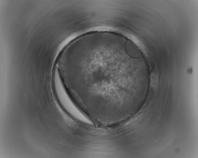 X0000090441229200707201246