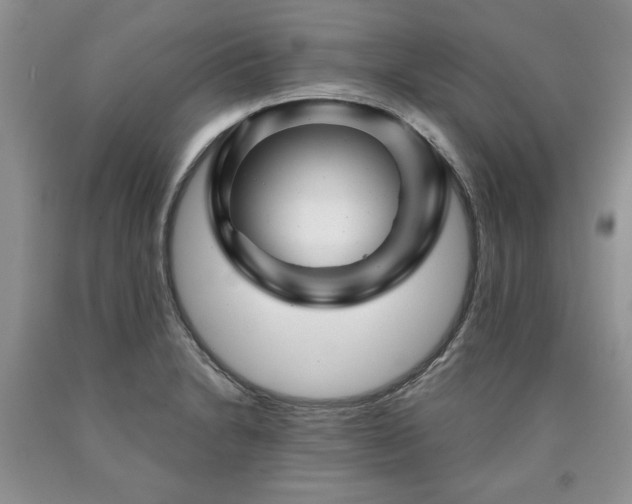 X0000090441230200707201246