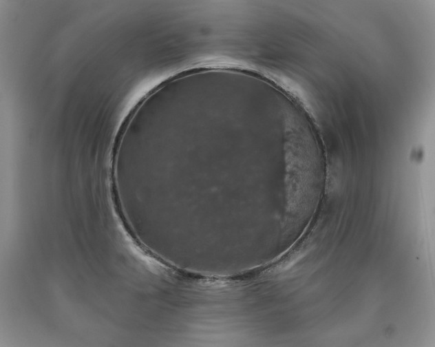 X0000090441231200707201246