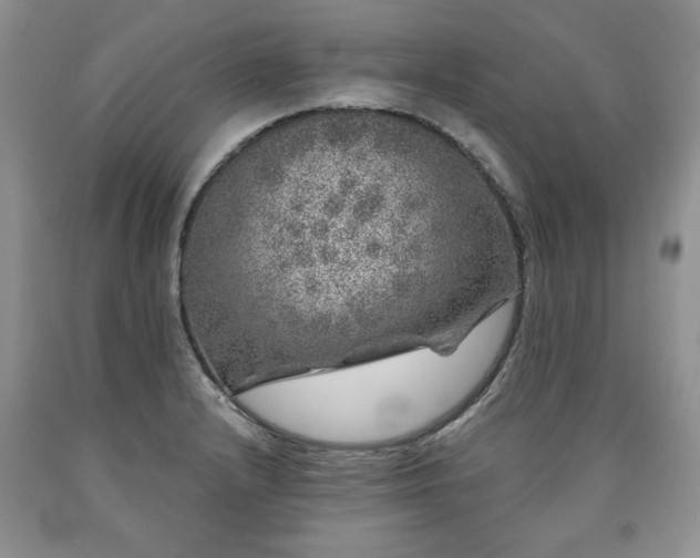 X0000090441232200707201246