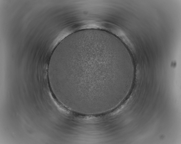 X0000090441233200707201246