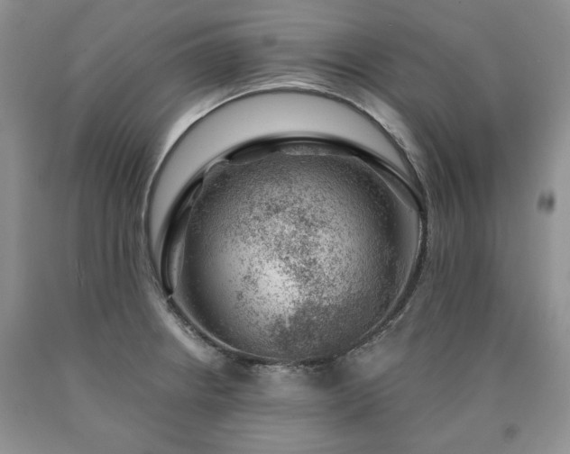 X0000090441234200707201246