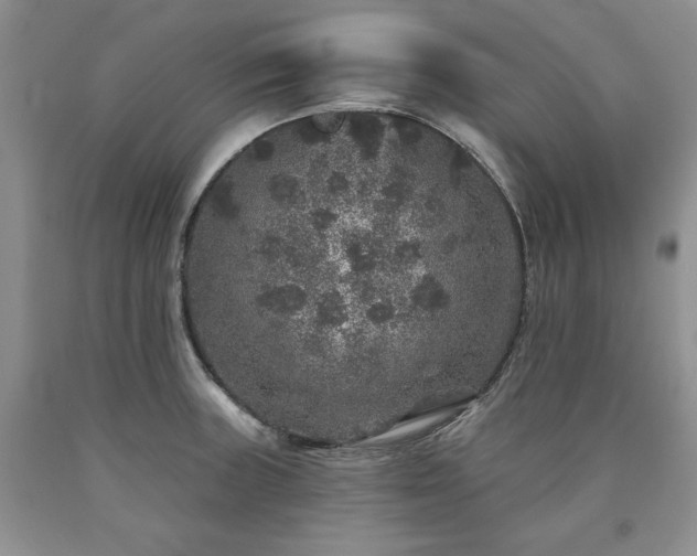 X0000090441235200707201246