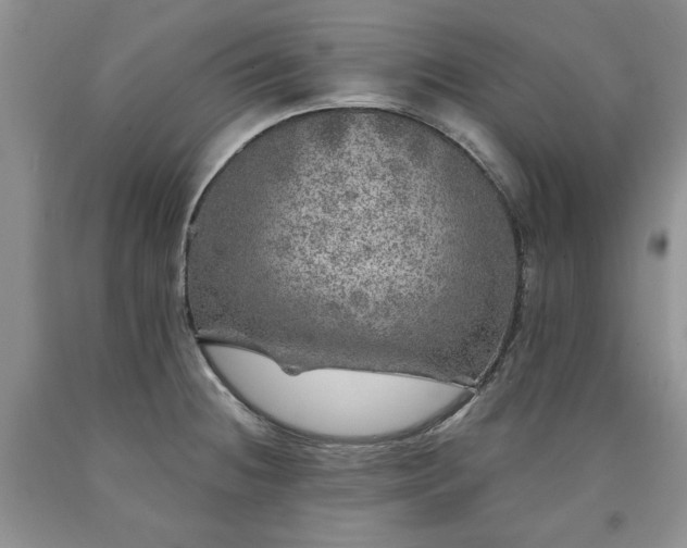 X0000090441236200707201246