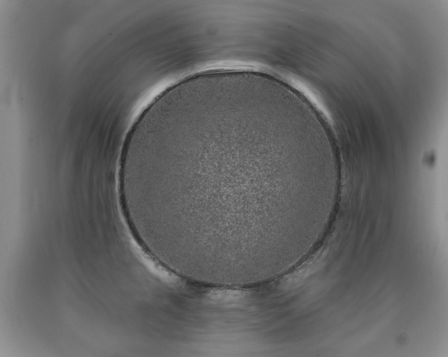 X0000090441237200707201246