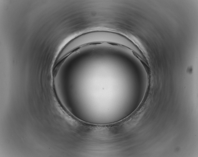 X0000090441238200707201246