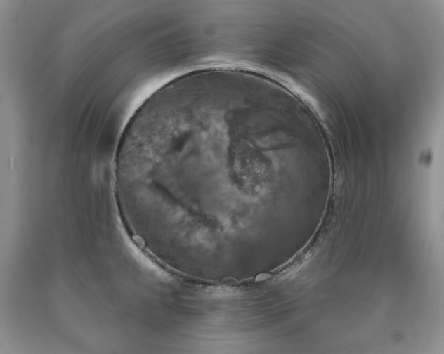 X0000090441239200707201246