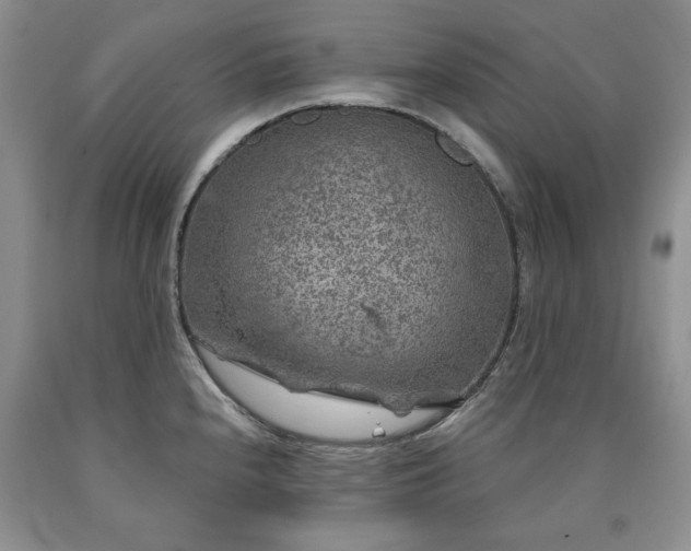 X0000090441240200707201246