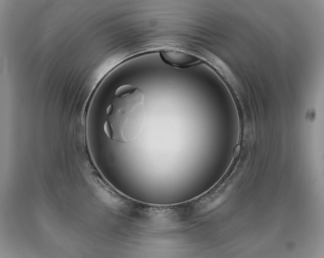 X0000090441242200707201246