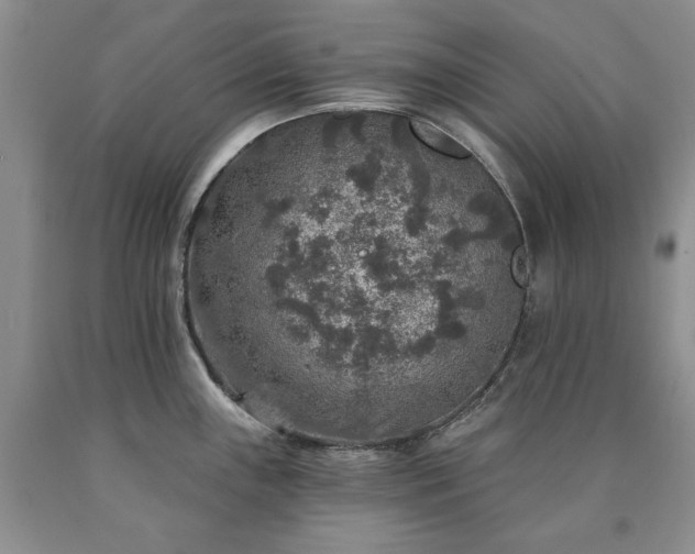 X0000090441243200707201246