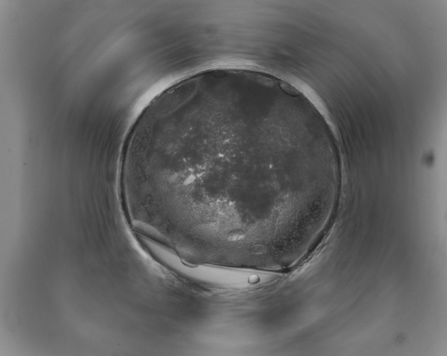 X0000090441245200707201246