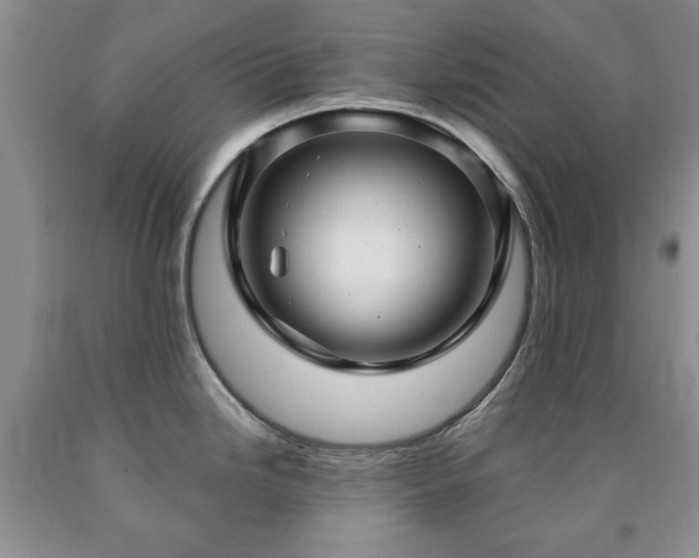 X0000090441246200707201246