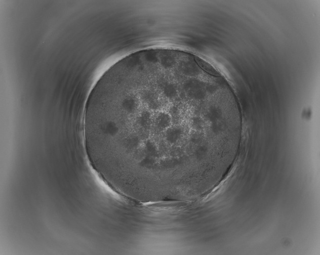 X0000090441247200707201246