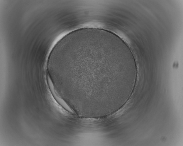 X0000090441248200707201247